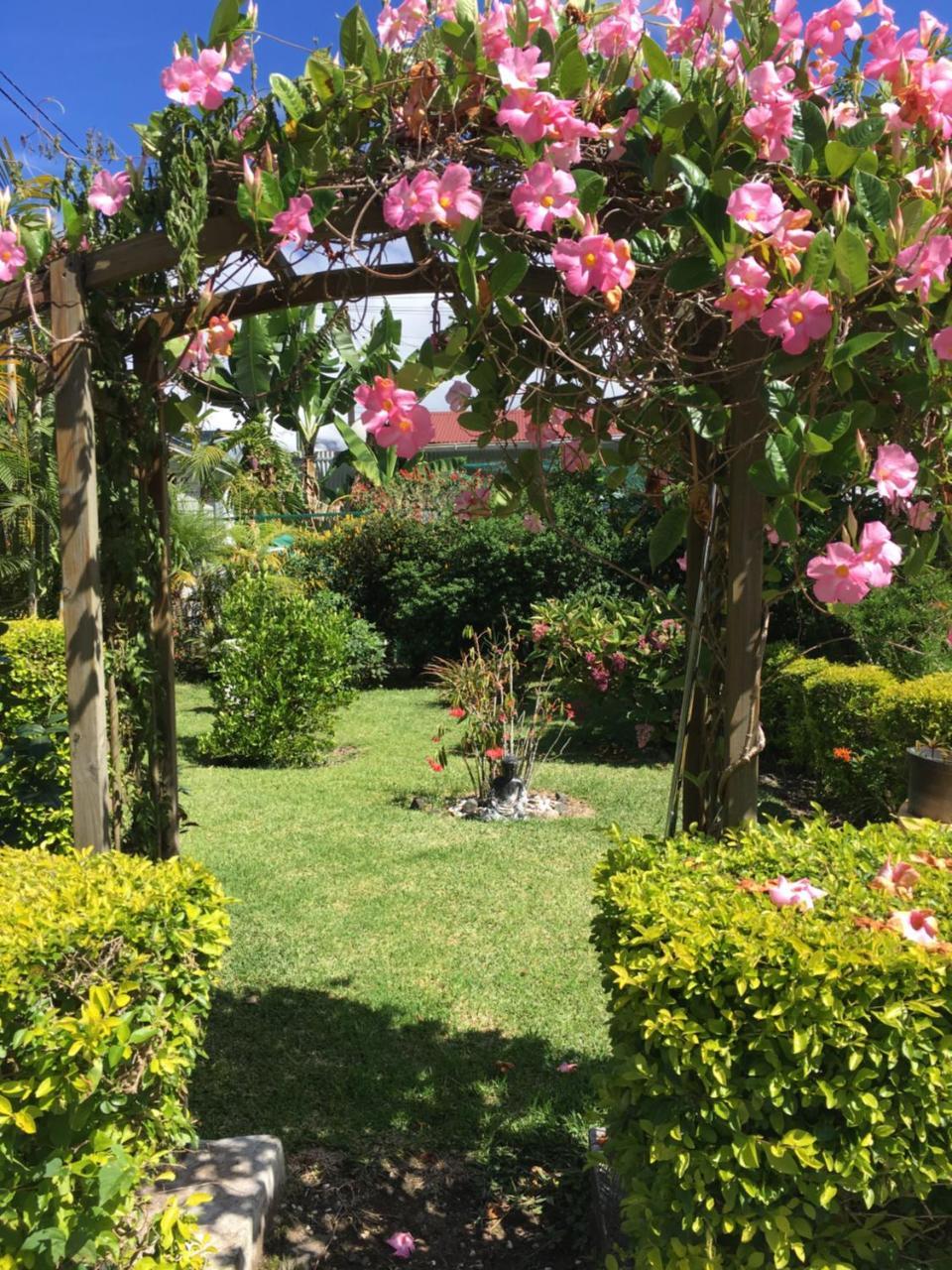 Chambres d'hôtes l'Orchidée Rose Salazie Extérieur photo